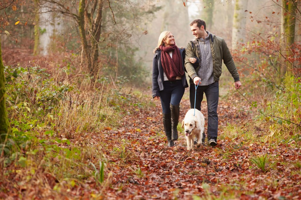 a couple smiling while they walk their dog through the woods in the fall