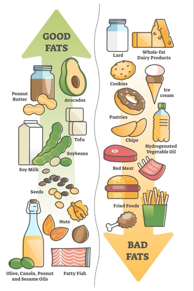 Good fats versus bad fats graphic